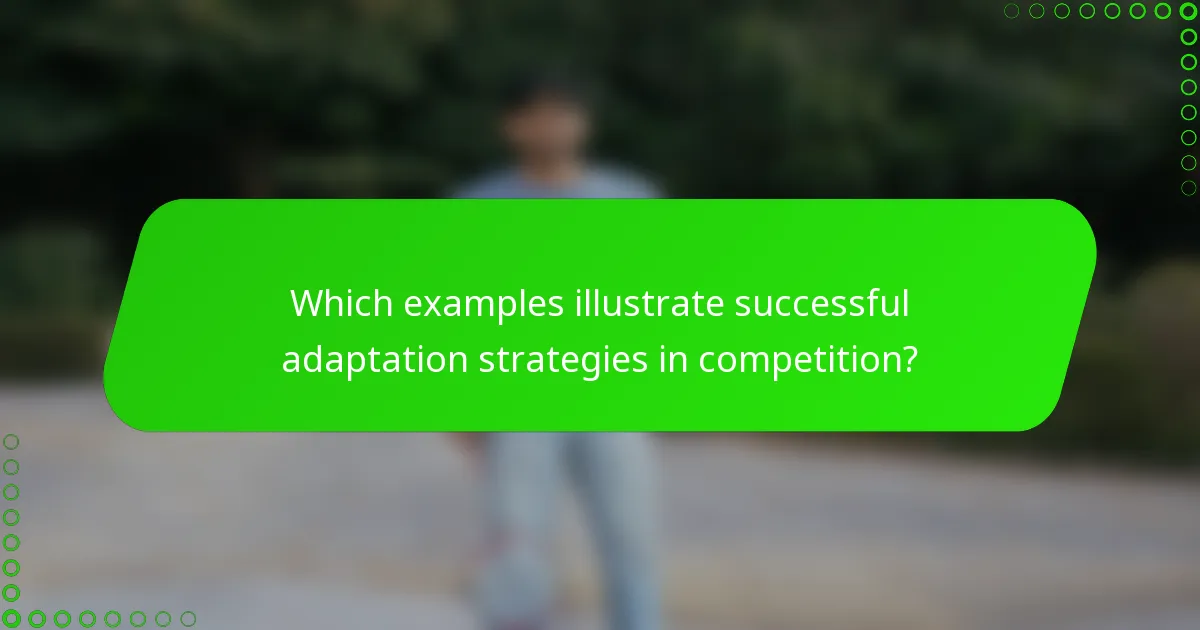 Which examples illustrate successful adaptation strategies in competition?